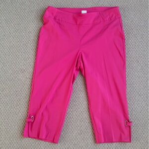 Zac & Rachel Women’s Bright Pink Capri Pants Silver Embellishment NWT Size 20W